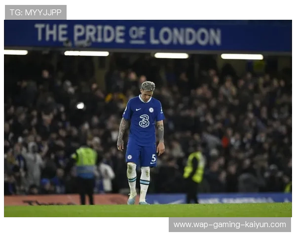 恩佐·费尔南德斯：切尔西中场核心的成长之路，切尔西 谢菲尔德