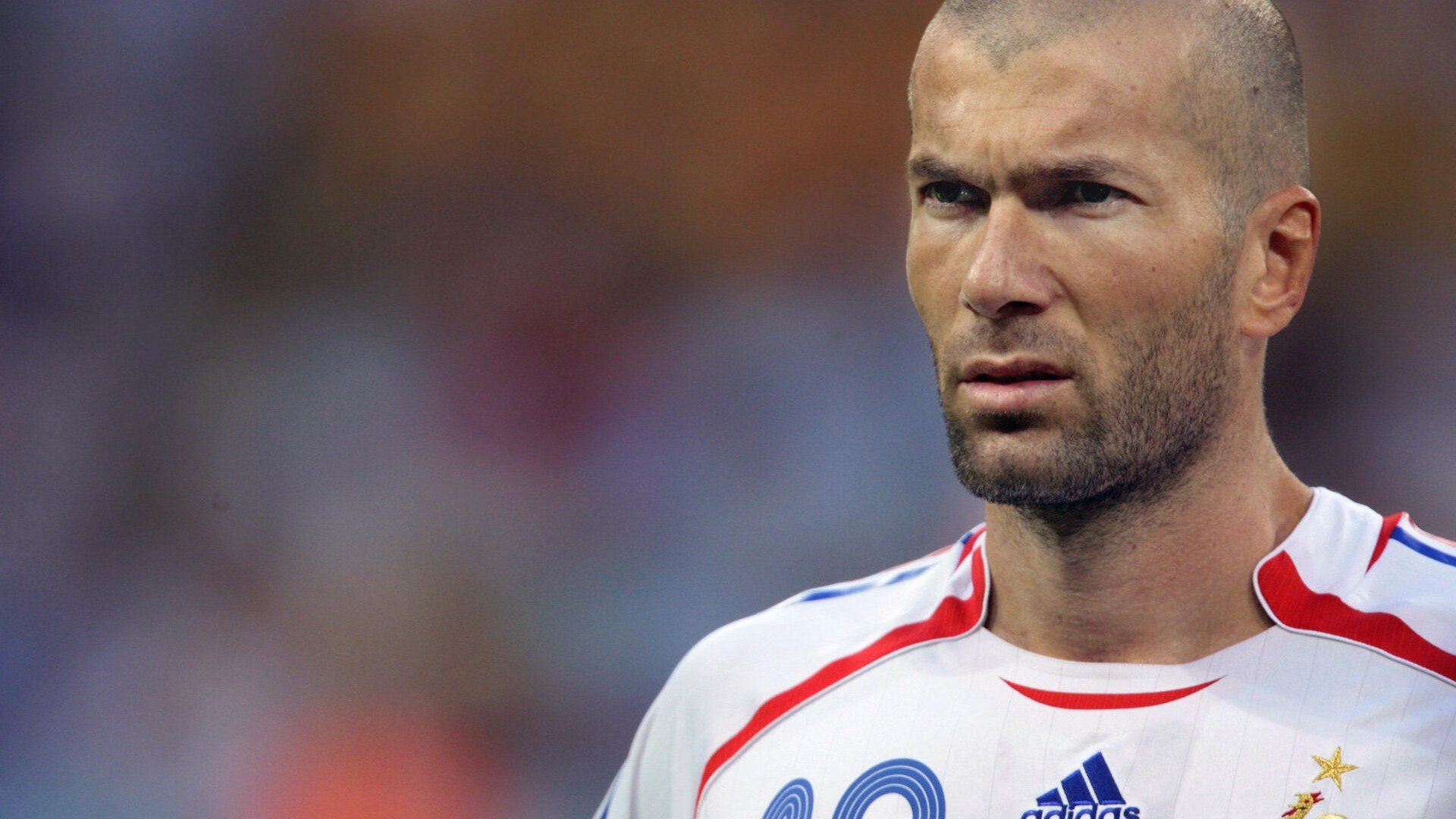 国际排球联赛青年优秀球员海外试训计划启动，国际排球运动员